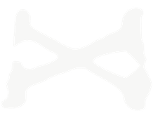 Plix Co. Logo